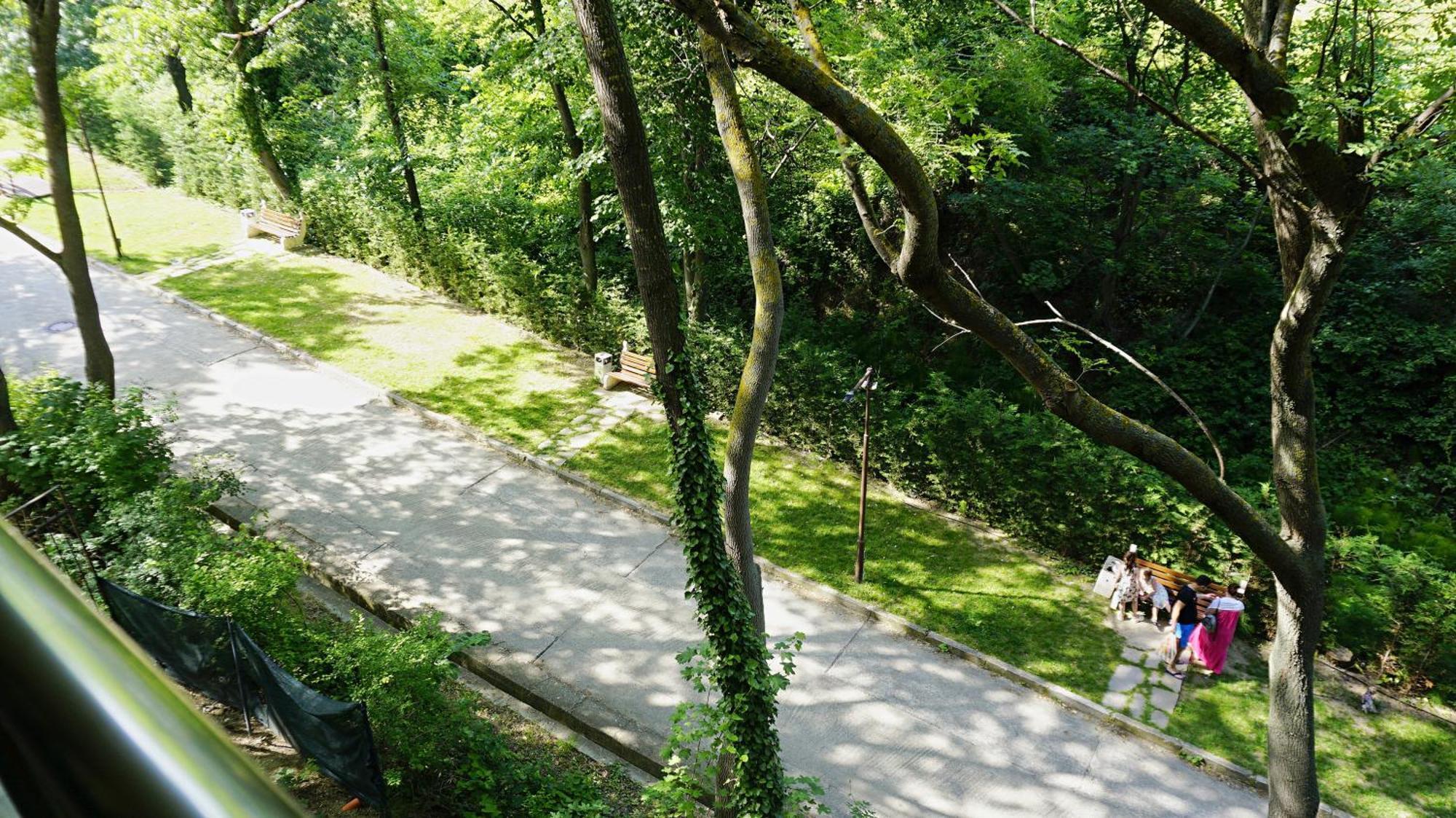 Бяла Клиф Форест - Byala Cliff Forest Exterior photo